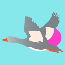 鸭子矢量素材插画