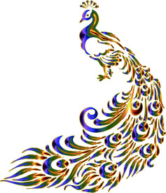 孔雀卡通矢量素材插画图片