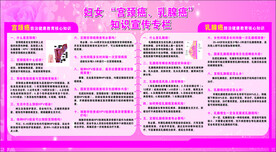 知识宣传专栏