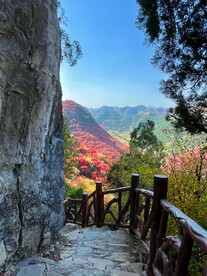 秋意浓