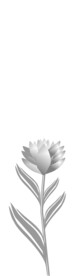 花  玻璃门   灰色    