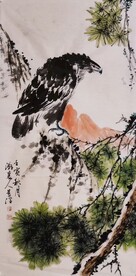 苍鹰