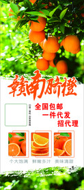 赣南脐橙