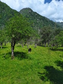 四姑娘山风景照