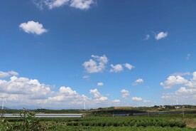 蓝天白云淮山园