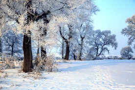 森林雪地公园