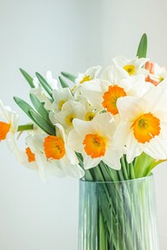 水仙花