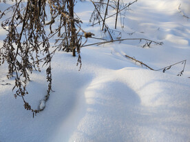 冬季雪地