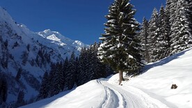 冬季雪地