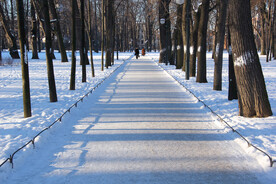 冬季雪地道路