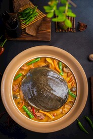 砂锅甲鱼