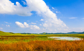 内蒙乌兰布统草原