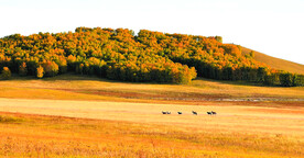 内蒙乌兰布统草原