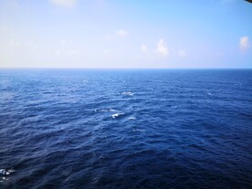 海