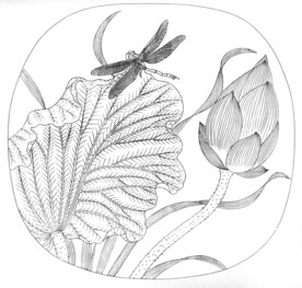 荷花线描