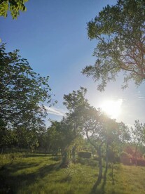 碧草蓝天