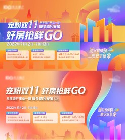 双十一购房节横版