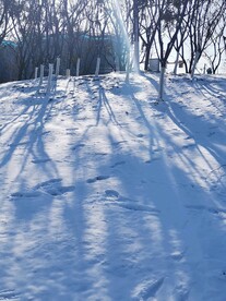 雪地上的影子