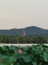 西湖美景