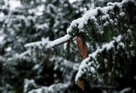 雪景             