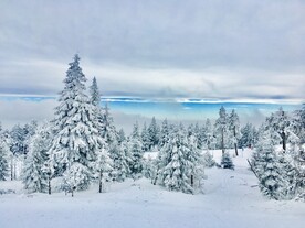 雪景             