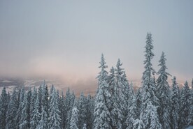 雪景             