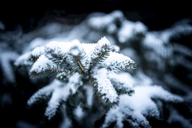 雪景             