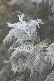 雪景             