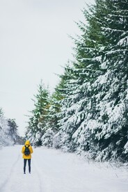 雪景             