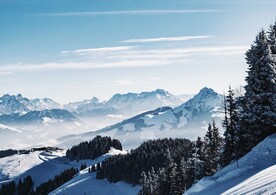 雪景             