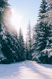 雪景             