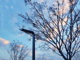 夕阳下路灯