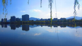 江边风景素材 风景如画  江岸