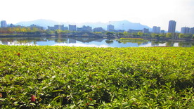 江边风景素材 风景如画  江岸