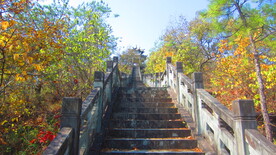 公园阶梯 台阶 上山 爬山  
