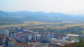 城市水平图 城市俯视图 城镇 