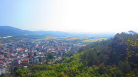 城市水平图 城市俯视图 城镇 
