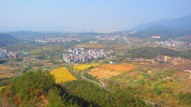 城市水平图 城市俯视图 城镇 