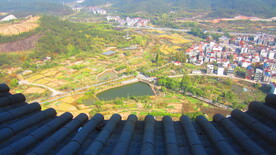 城市水平图 城市俯视图 城镇 