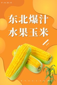 玉米海报