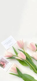 郁金香花朵图片