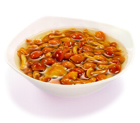 滑子菇