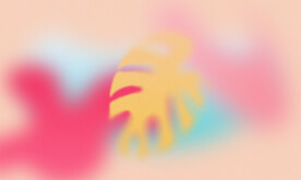 糖果色甜品蛋糕化妆品背景