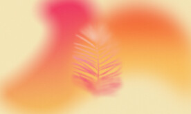 糖果色甜品蛋糕化妆品背景