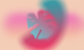 糖果色甜品蛋糕化妆品背景