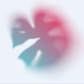 幻彩植物模糊渐变 