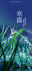 寒露节气海报