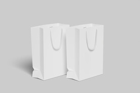 手提袋白模样机