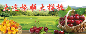 旅顺大樱桃