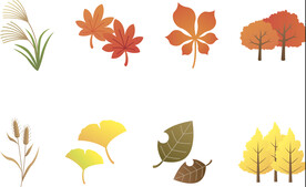 矢量叶子秋季枫叶素材